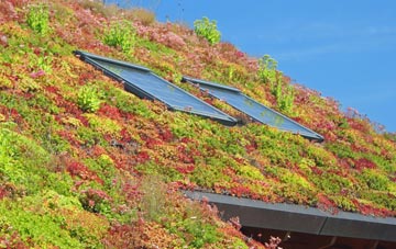Deopham Green living roof systems